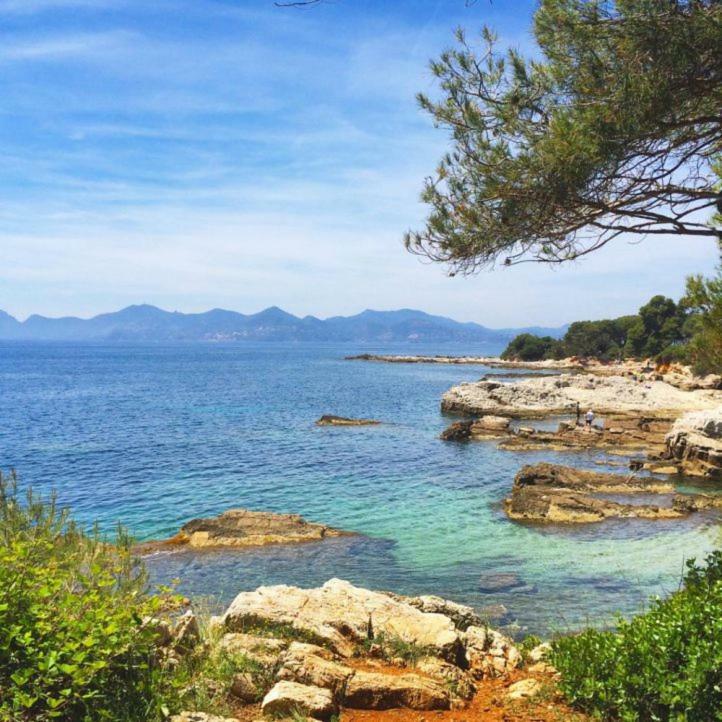 Appartement Cosy Calme Central-Terrasse Proche Palais Κάννες Εξωτερικό φωτογραφία